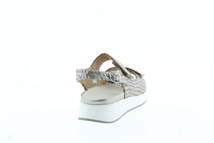 SOLIDUS Sandaal CHAMPAGNER Dames (75034 H - ) - Schoenen Slaets