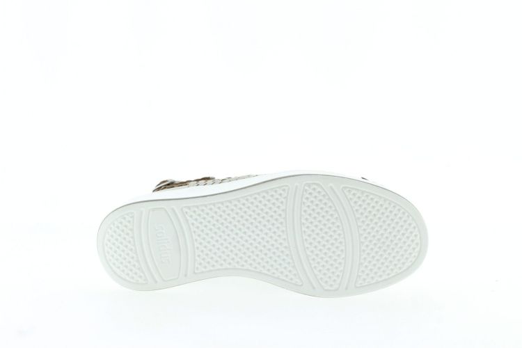 SOLIDUS Sandaal CHAMPAGNER Dames (75034 H - ) - Schoenen Slaets