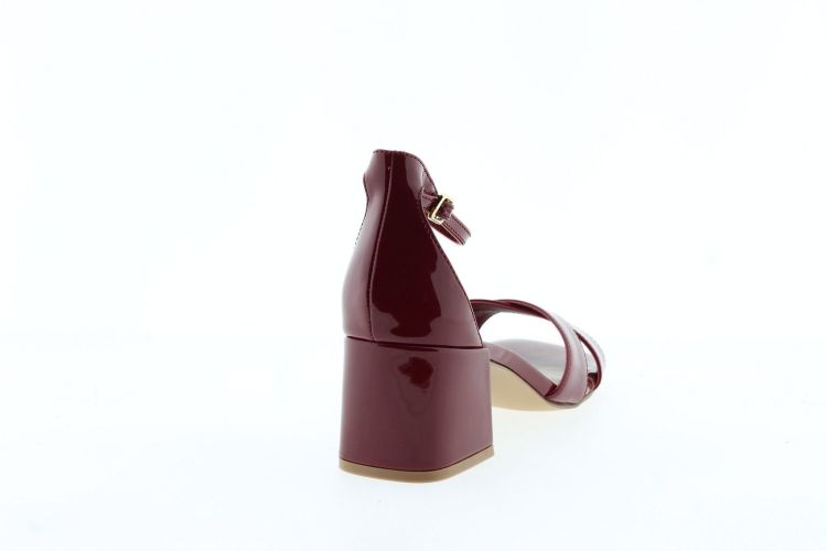 STEVE MADDEN Sandaal BORDEAUX Dames (FERGIE - ) - Schoenen Slaets