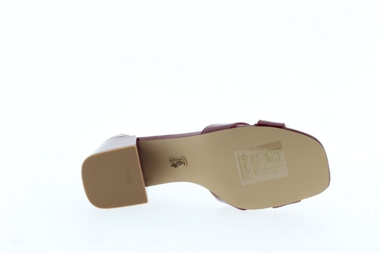 STEVE MADDEN Sandaal BORDEAUX Dames (FERGIE - ) - Schoenen Slaets