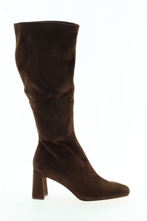 STEVE MADDEN Hoge laars BRUIN