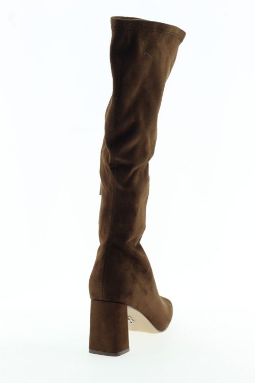 STEVE MADDEN Hoge laars BRUIN Dames (HOLLY - ) - Schoenen Slaets