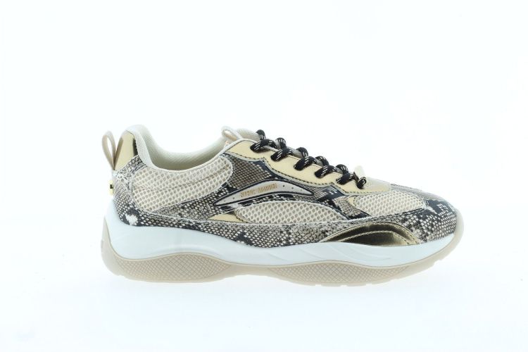 STEVE MADDEN Sneaker Bronze