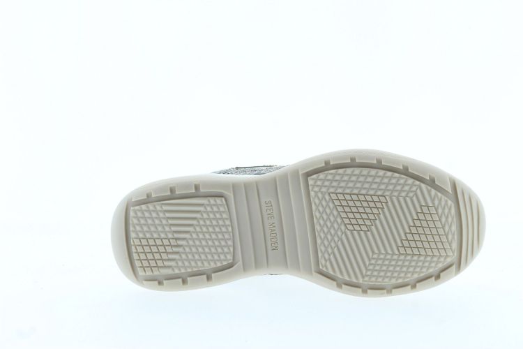 STEVE MADDEN Sneaker Bronze Dames (PREMIO - ) - Schoenen Slaets