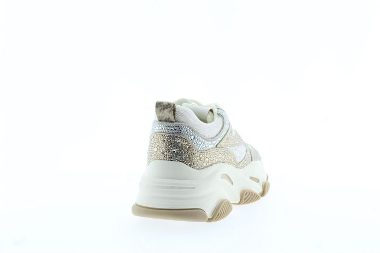 STEVE MADDEN Sneaker GOUD Dames (PRIVY - ) - Schoenen Slaets