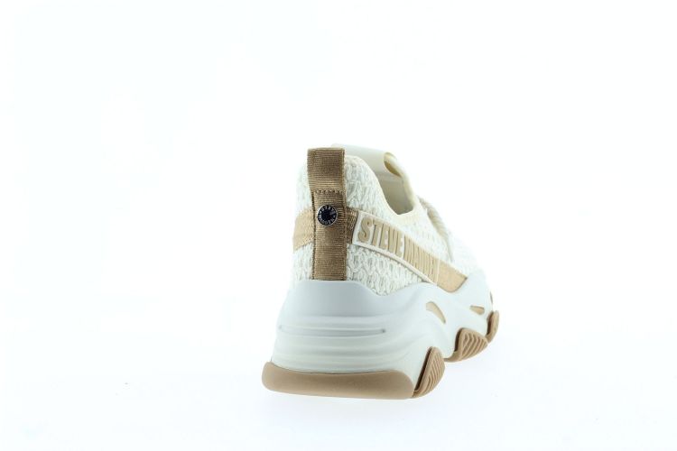 STEVE MADDEN Sneaker Beige Dames (PROJECT - ) - Schoenen Slaets