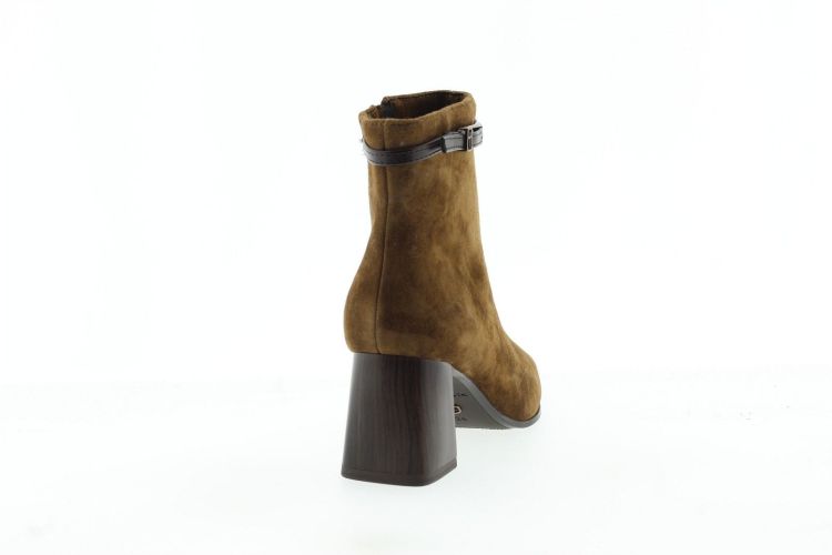 TAMARIS Enkellaars COGNAC Dames (25334 - ) - Schoenen Slaets