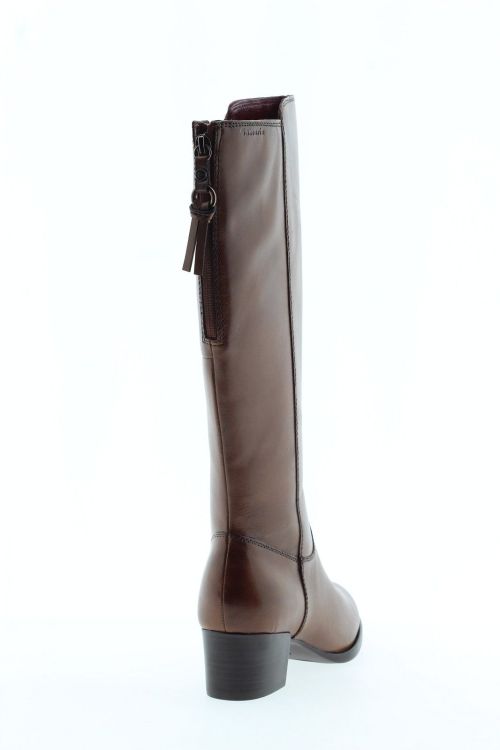 TAMARIS Hoge laars COGNAC Dames (25539 - ) - Schoenen Slaets