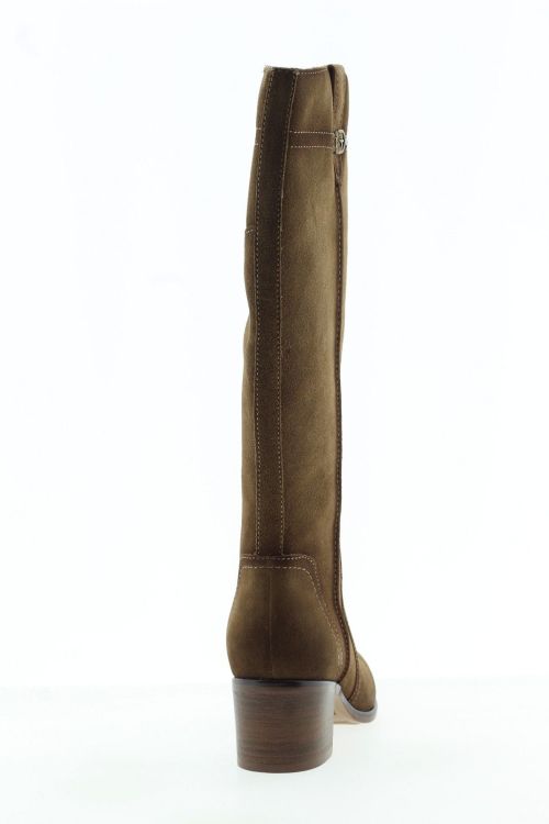 TAMARIS Hoge laars CAMEL Dames (25576 - ) - Schoenen Slaets