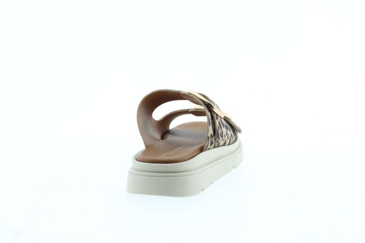 TAMARIS Aansteker MULTICOLOR Dames (27239 - ) - Schoenen Slaets