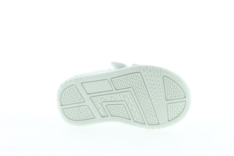 TOMMY HILFIGER Sneaker MULTICOLOR Meisjes (33730 - ) - Schoenen Slaets