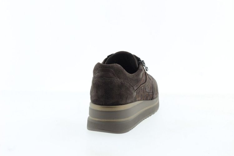 WALDLAUFER Sneaker BRUIN Dames (669K01 K - ) - Schoenen Slaets