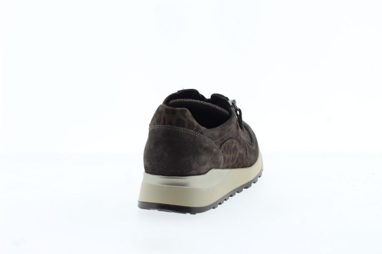 WALDLAUFER Sneaker BRUIN Dames (H64007 H - ) - Schoenen Slaets