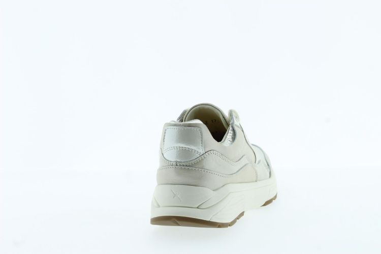 XSENSIBLE Sneaker Beige Dames (GOLDEN GATE - ) - Schoenen Slaets