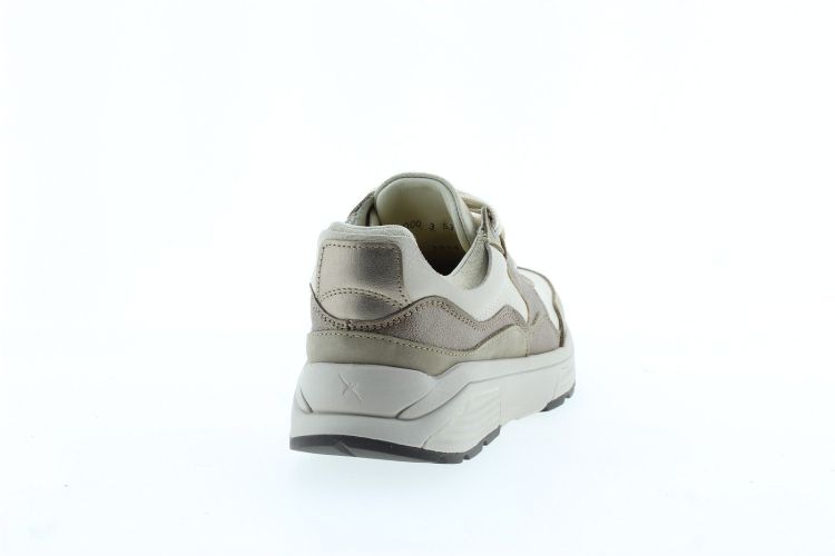 XSENSIBLE Sneaker TAUPE Dames (GOLDEN GATE  - ) - Schoenen Slaets