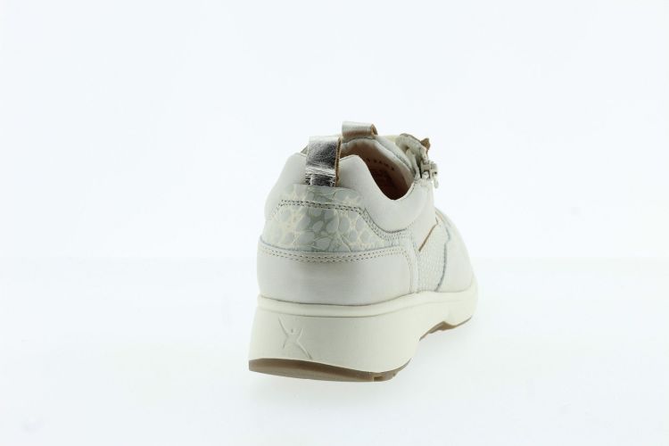 XSENSIBLE Sneaker Beige Dames (GRENOBLE - ) - Schoenen Slaets