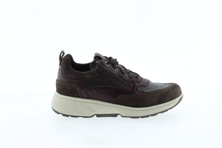 XSENSIBLE Sneaker BRUIN