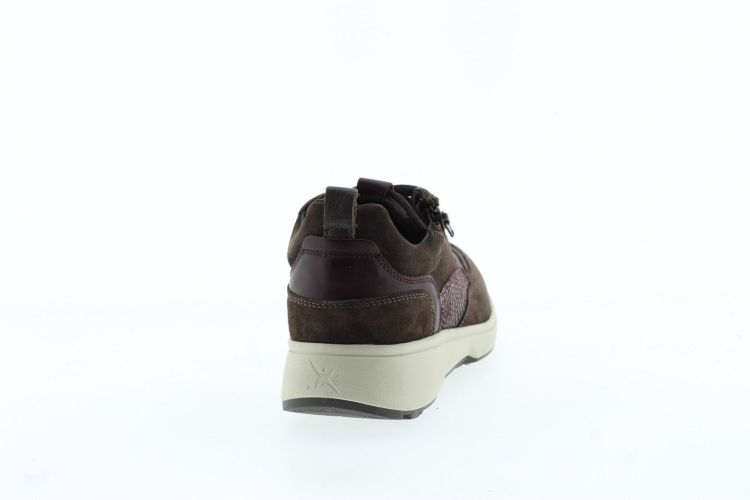XSENSIBLE Sneaker BRUIN Dames (GRENOBLE - ) - Schoenen Slaets