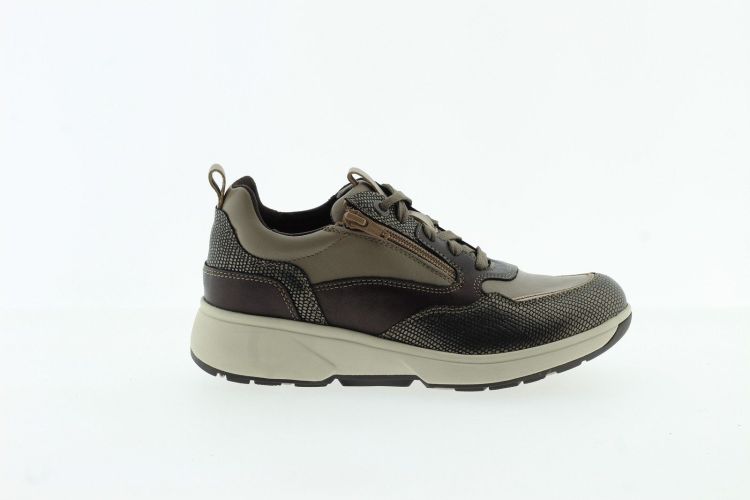 XSENSIBLE Sneaker TAUPE