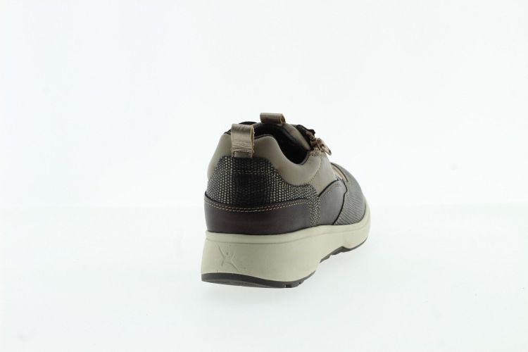 XSENSIBLE Sneaker TAUPE Dames (GRENOBLE - ) - Schoenen Slaets