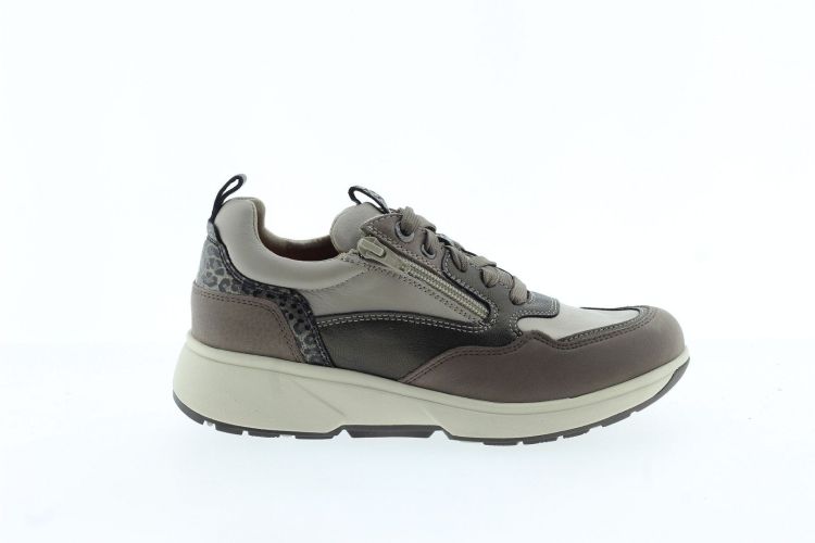 XSENSIBLE Sneaker TAUPE