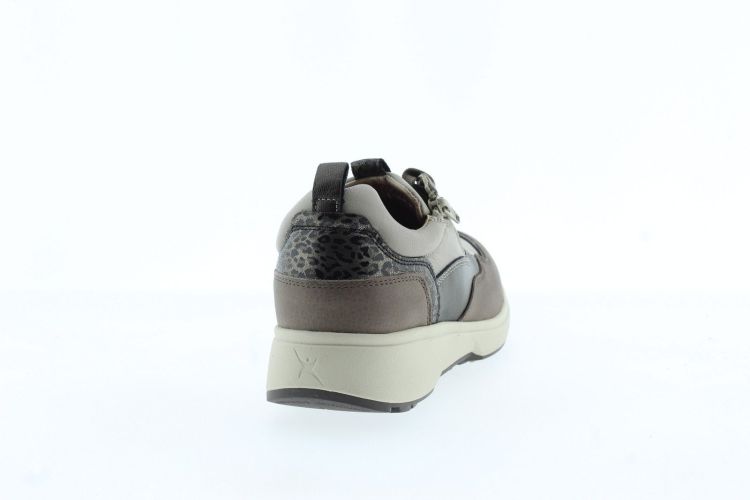 XSENSIBLE Sneaker TAUPE Dames (GRENOBLE - ) - Schoenen Slaets