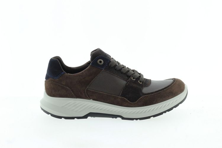 XSENSIBLE Sneaker BRUIN