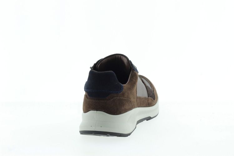 XSENSIBLE Sneaker BRUIN Heren (HUDSON  - ) - Schoenen Slaets