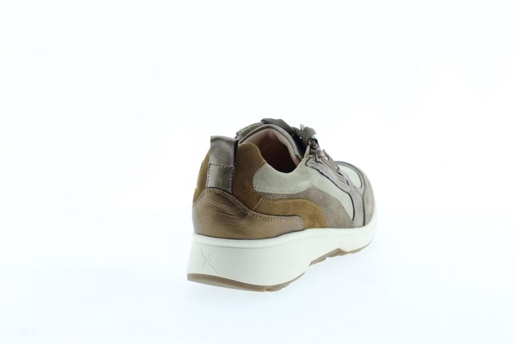 XSENSIBLE Sneaker Beige Dames (VALETTA - ) - Schoenen Slaets