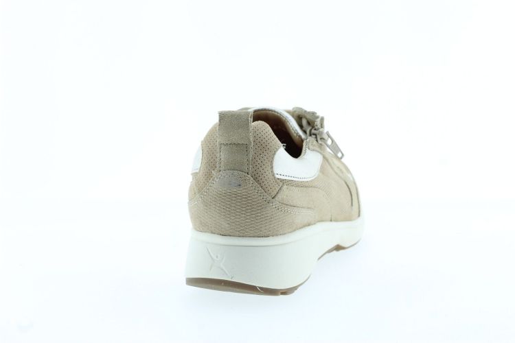 XSENSIBLE Sneaker Beige Dames (VALLETTA - ) - Schoenen Slaets