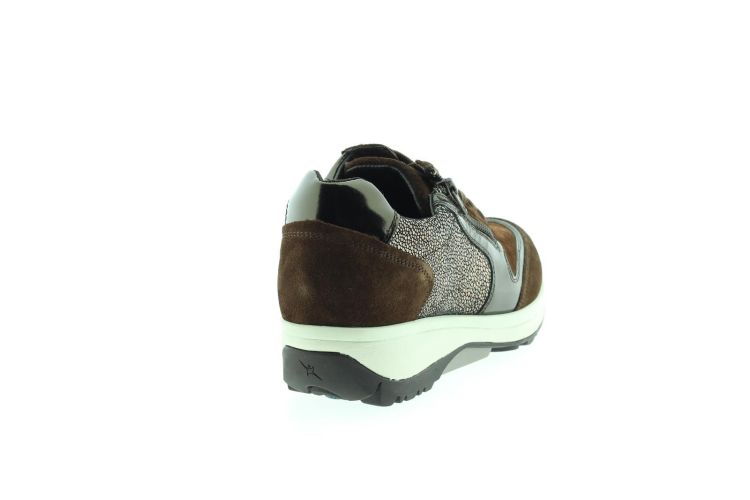 XSENSIBLE Sneaker BRUIN Dames (WEMBLEY - ) - Schoenen Slaets